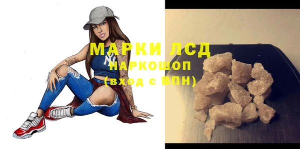PSILOCYBIN Горно-Алтайск