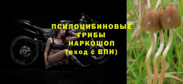 ПСИЛОЦИБИНОВЫЕ ГРИБЫ Вязьма