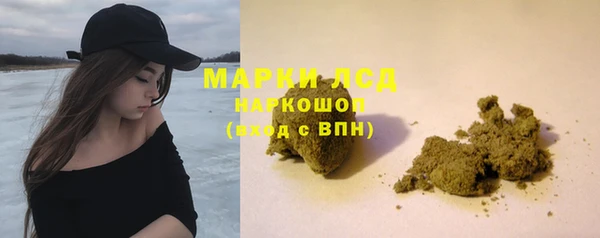 PSILOCYBIN Горно-Алтайск