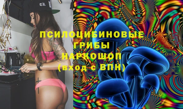 PSILOCYBIN Горно-Алтайск