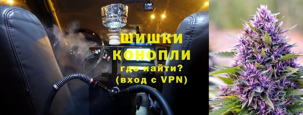 ПСИЛОЦИБИНОВЫЕ ГРИБЫ Вязьма