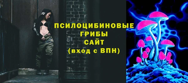 PSILOCYBIN Горно-Алтайск