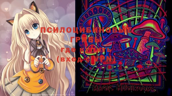герыч Вязники