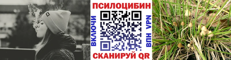 Псилоцибиновые грибы GOLDEN TEACHER  Игарка 